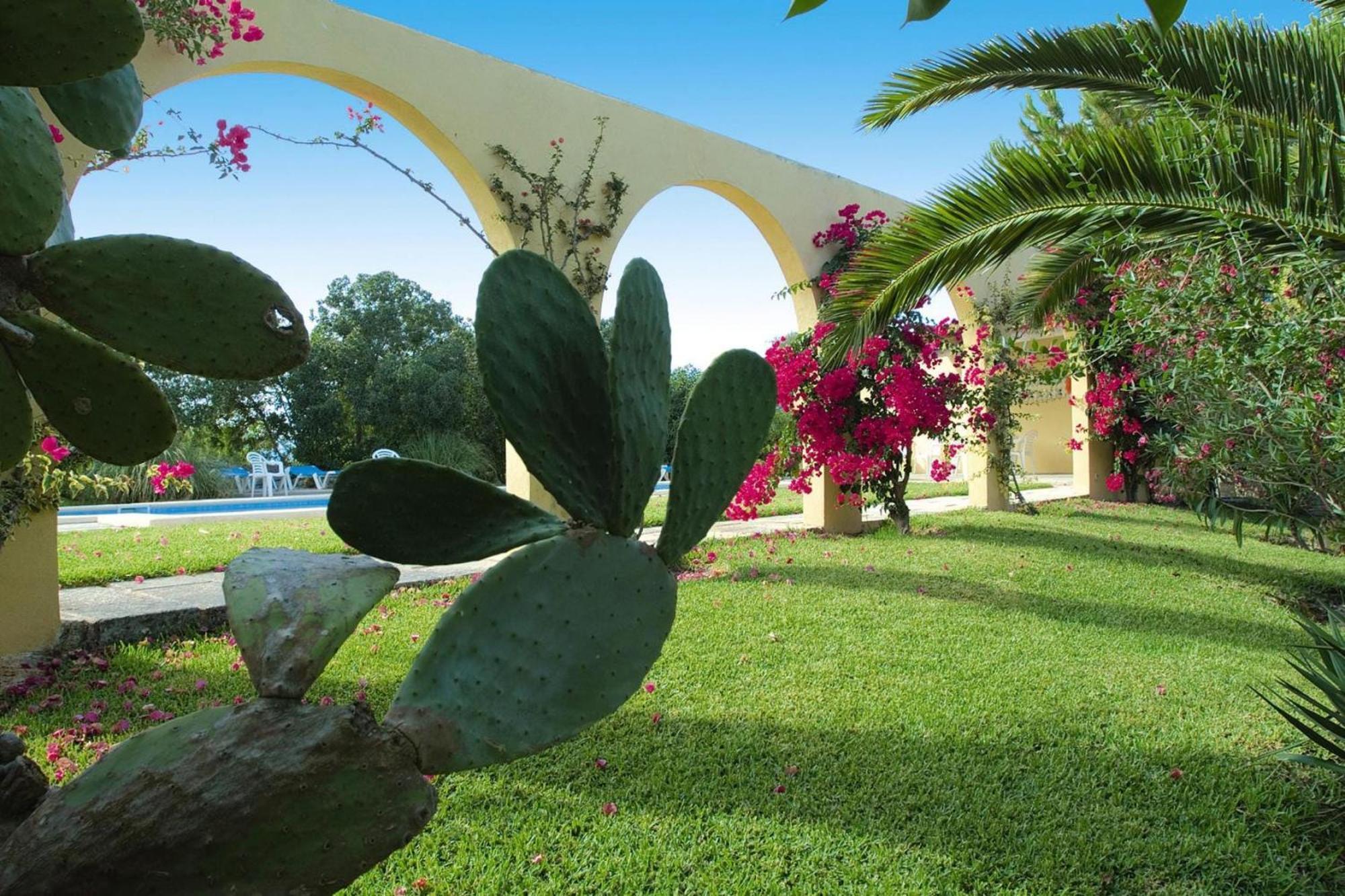Holiday In With Terrace Appartement