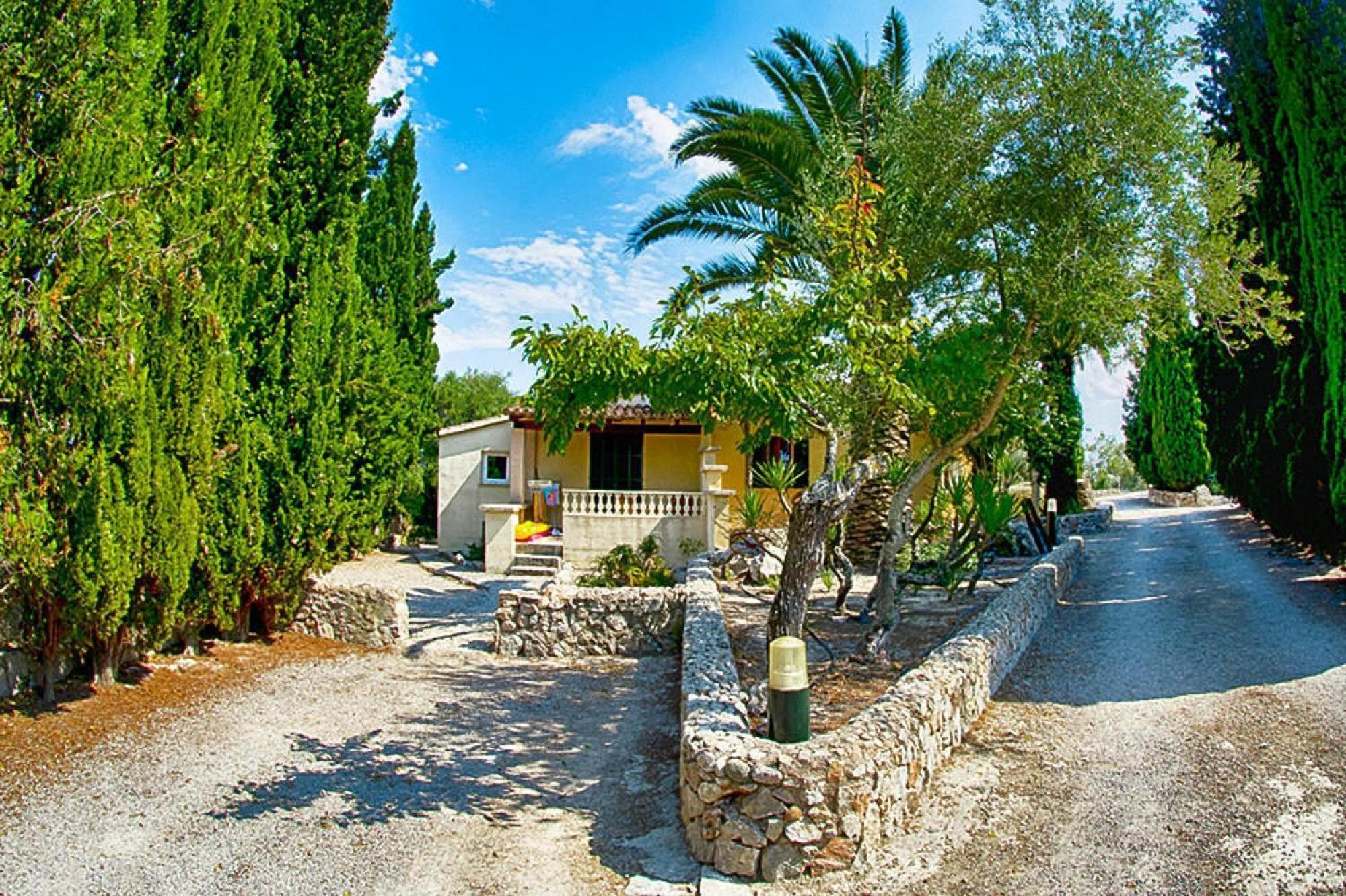 Holiday In With Terrace Appartement *